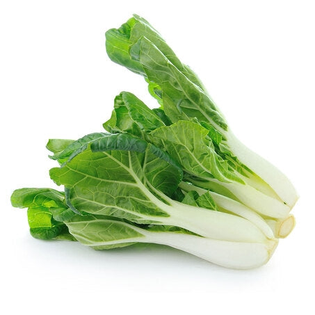 Wholesale BoxNCase Case Bok Choy- Bulk
