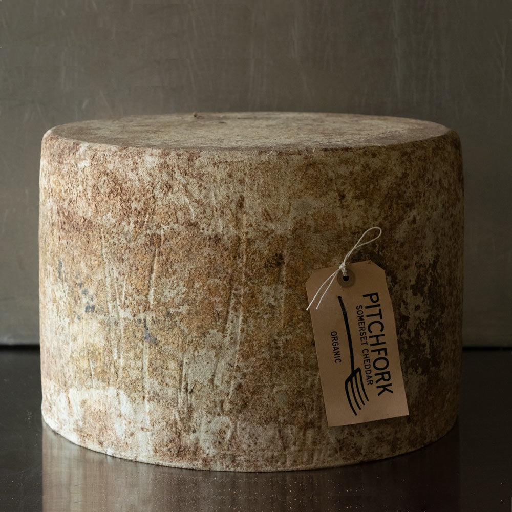 Wholesale Fcc Pitchfork Cloth Cheddar 12.5#- Bulk