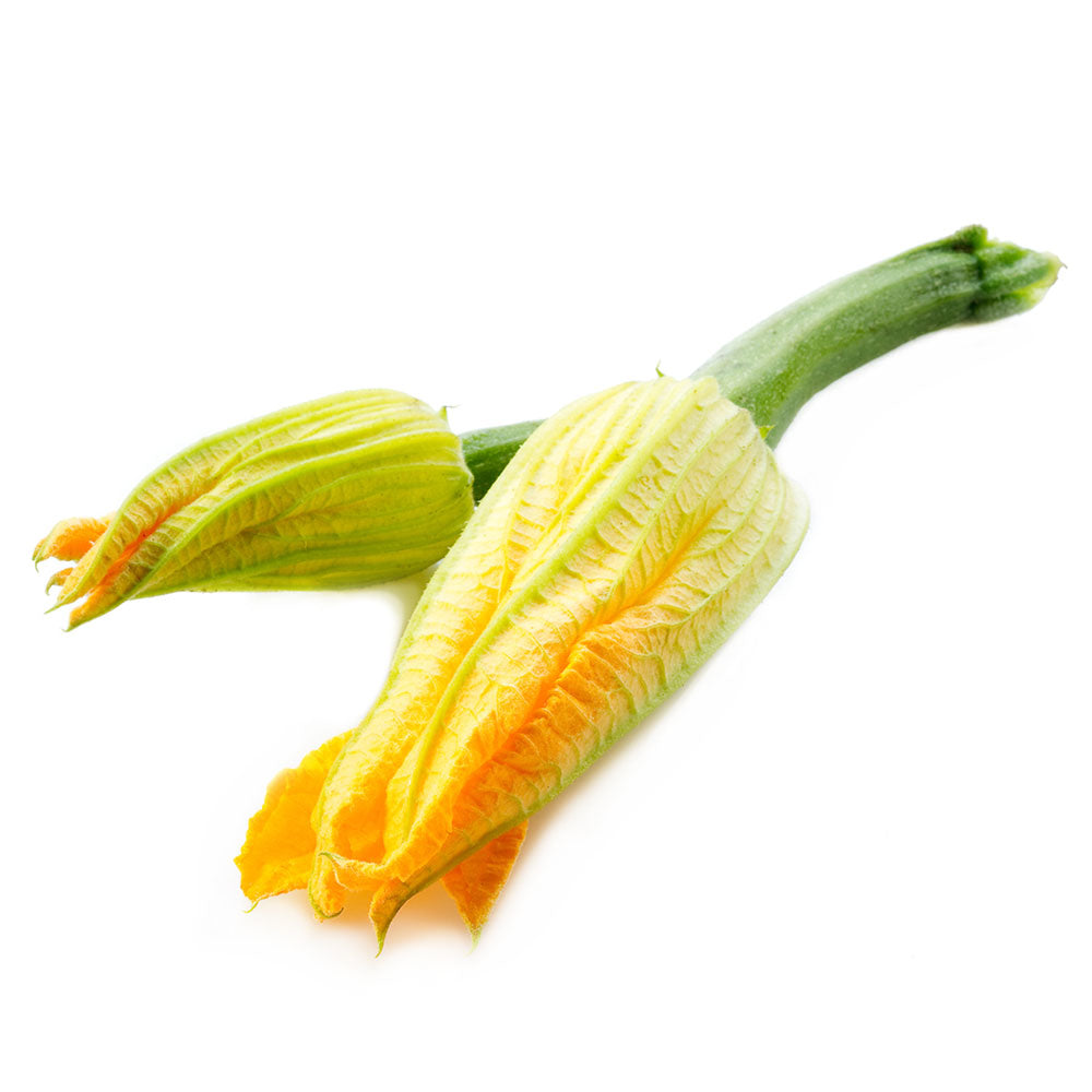 Wholesale Fresh Origins Case Squash Blossom- Bulk