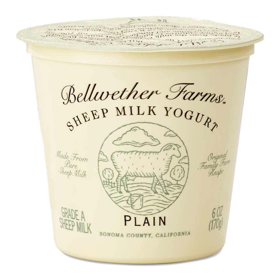 Wholesale Bellwether Sheep Yogurt Plain- Bulk