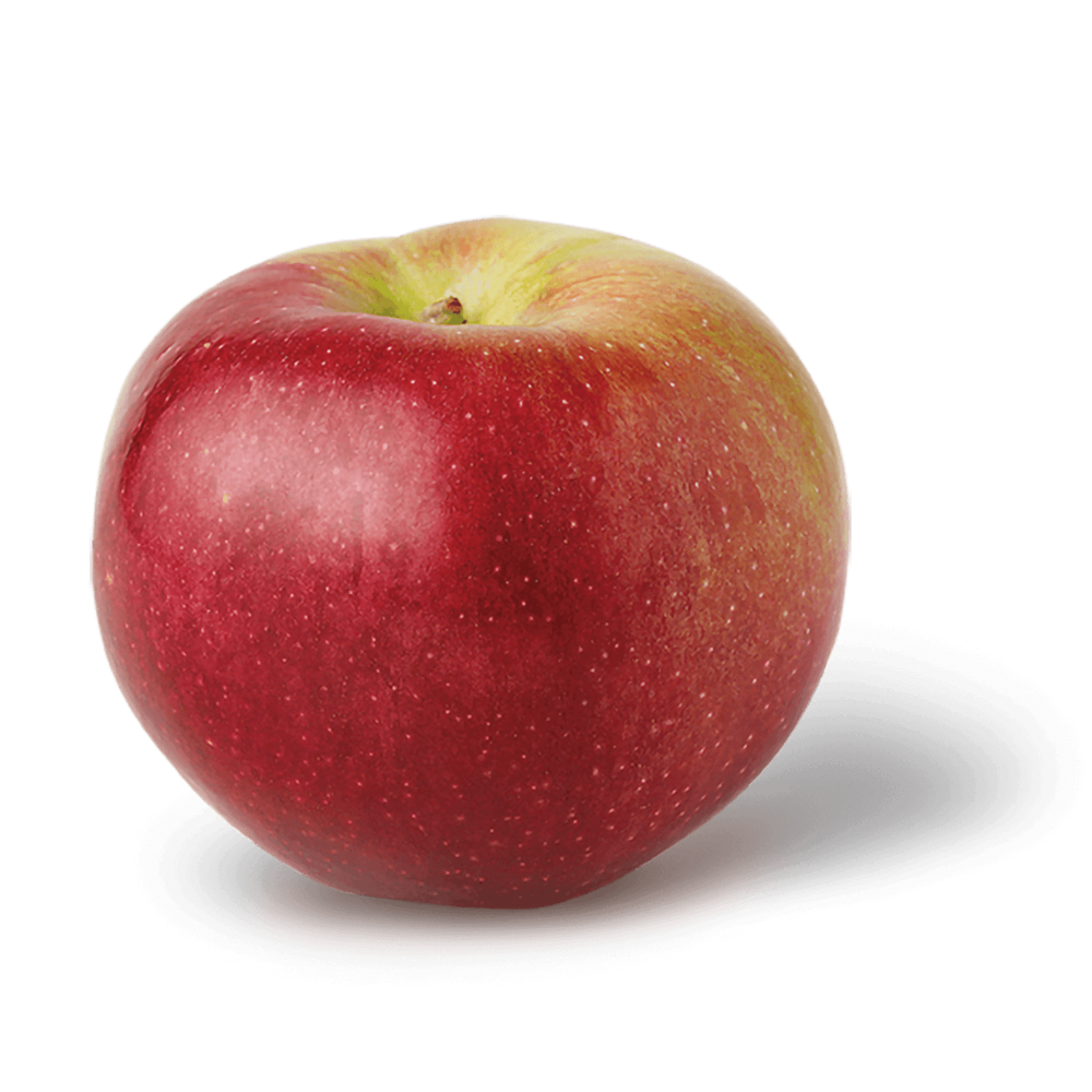 Wholesale Macoun Apple | 100 ct- Bulk