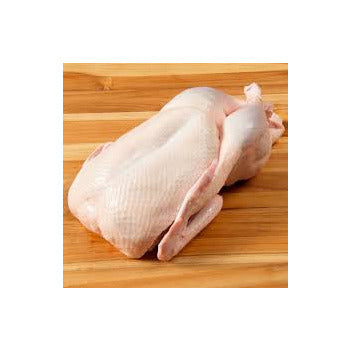 Wholesale Jurgielewicz Whole Fresh Duck 5.5lb- Bulk