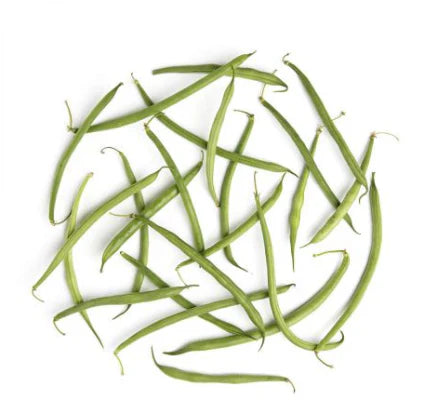 Wholesale BoxNCase Case French Beans (Haricot Verts)- Bulk