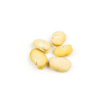 Wholesale D'Allesandro Peeled Fava Beans 10lb- Bulk