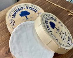 Wholesale Fromagerie de Tremblaye Camembert Fermier Boat 250 G- Bulk