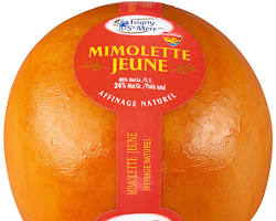Wholesale Coopérative Isigny Sainte Mère Isigny Mimolette 3 Month 2 x 7 LB- Bulk