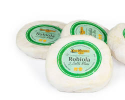 Wholesale Guffanti Robiola Due Latti Cheese 110g Soft-Ripened Cow and Sheep Milk- Bulk