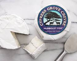 Wholesale Cypress Humboldt Fog Mini 14 OZ- Bulk