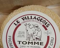 Wholesale Fromagerie P. Jacquin Belgian Tomme De Chevre Goat's Milk Cheese 2.8 KG- Bulk
