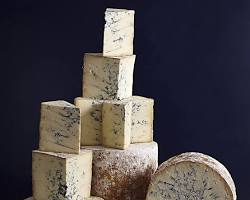 Wholesale Colston Bassett Dairy Colston Bassett Stilton 17.6 LB- Bulk
