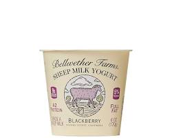 Wholesale Bellwether Specialty Yogurt Sheep Yogurt Blackberry 6 OZ- Bulk