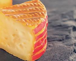 Wholesale Graindorge Grain Dorge 6 Count 9 OZ Cheese- Bulk