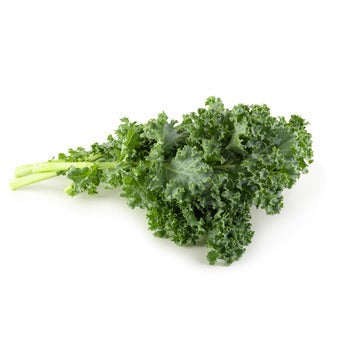 Wholesale Dix Farms Green Curly Kale- Bulk