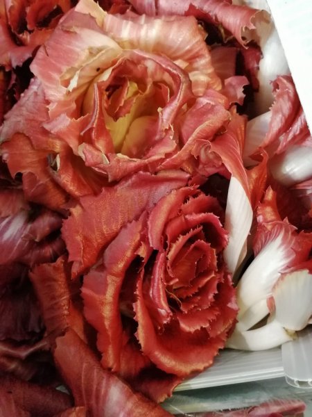 Wholesale Dix Farms Fresh Radicchio Di Gorizia- Bulk