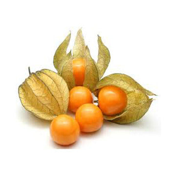Wholesale Dix Farms Cape Gooseberries 3.5oz- Bulk