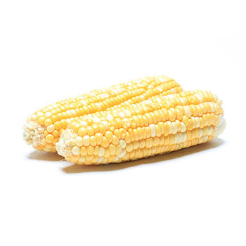 Wholesale Dix Farms Shucked Corn- Bulk