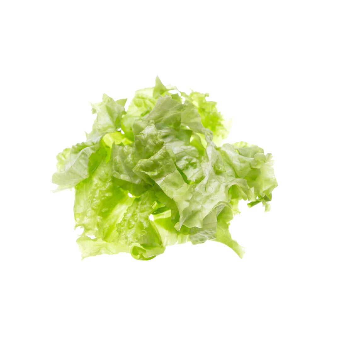 Wholesale Dix Farms Chopped Iceberg Lettuce 5lb- Bulk