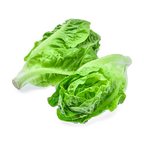 Wholesale Dix Farms Red Romaine Baby Lettuce 2lb- Bulk