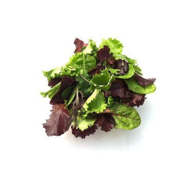 Wholesale Dix Farms Mesclun Spring Mixed Greens 3lb- Bulk