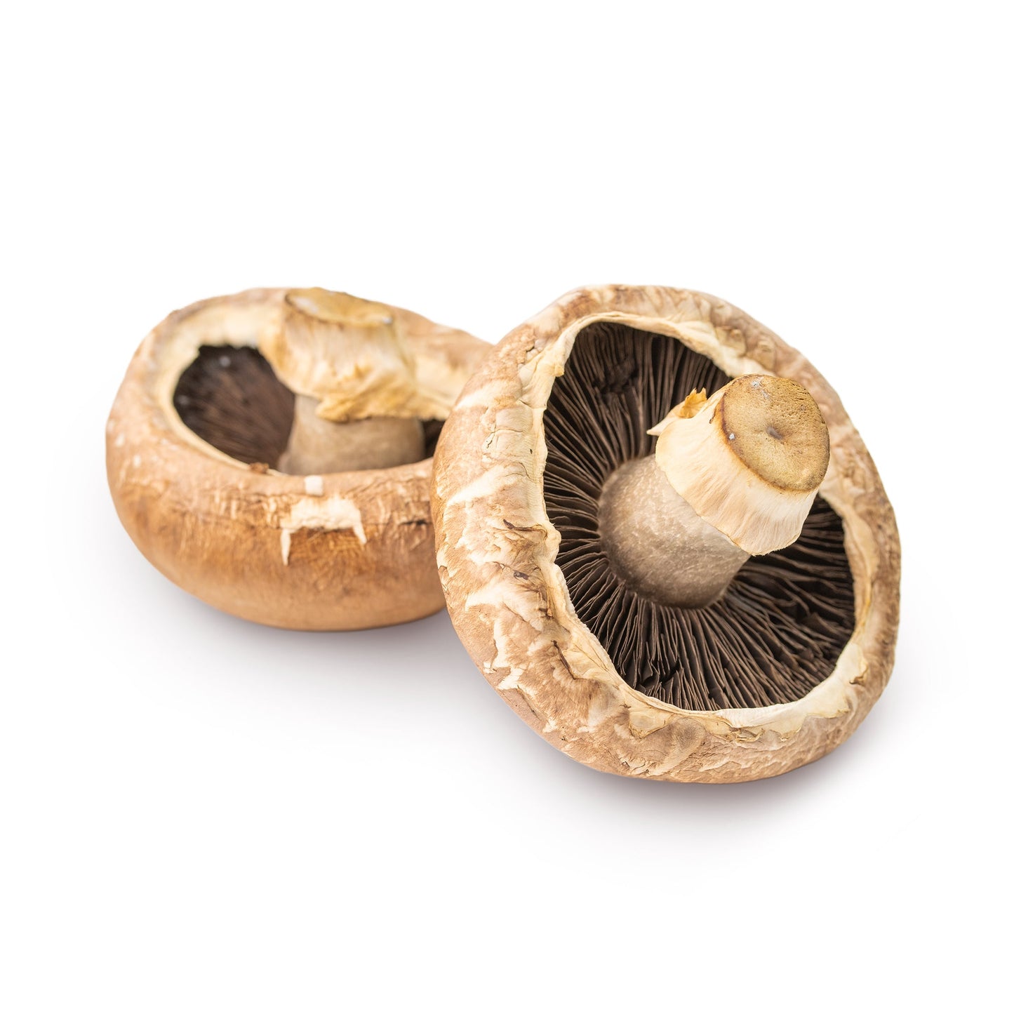 Wholesale Local Farm Jumbo Portobello Mushrooms 4.5" 5lb- Bulk