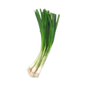 Wholesale Dix Farms Green Scallion Onions- Bulk