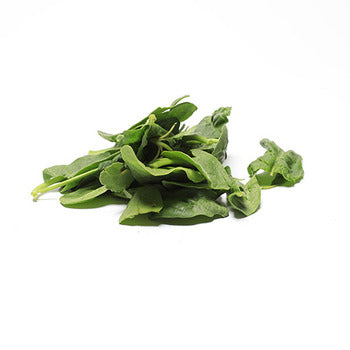 Wholesale Dix Farms Fresh Spinach Bloomsdale 4lb- Bulk