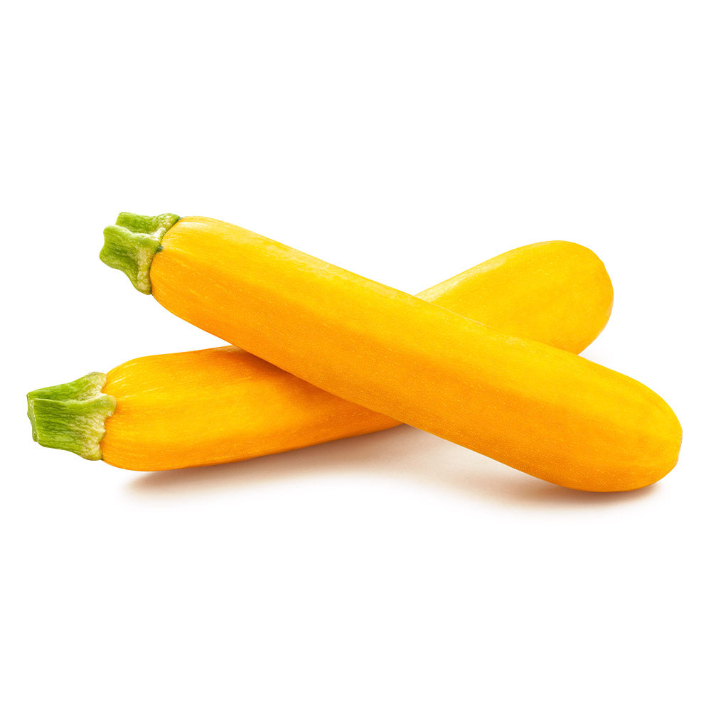 Wholesale Local Farm Gold Bar Squash, Local- Bulk