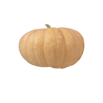 Wholesale Local Farm Local Pumpkins- Bulk