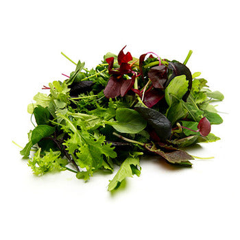 Wholesale Dix Farms Multi Variety Blend 8oz- Bulk