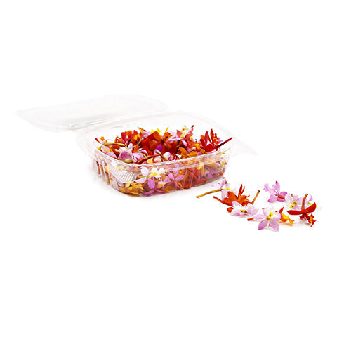 Wholesale Dix Farms Micro Orchid Blossoms- Bulk