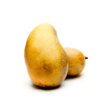 Wholesale Dix Farms Champagne Mangoes- Bulk