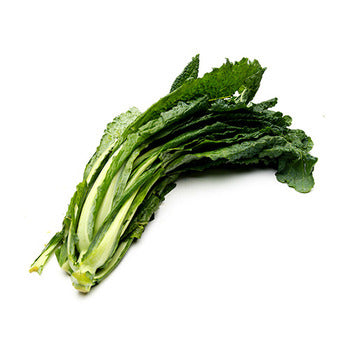 Wholesale Local Farm Fresh Kale Tuscan, Local- Bulk