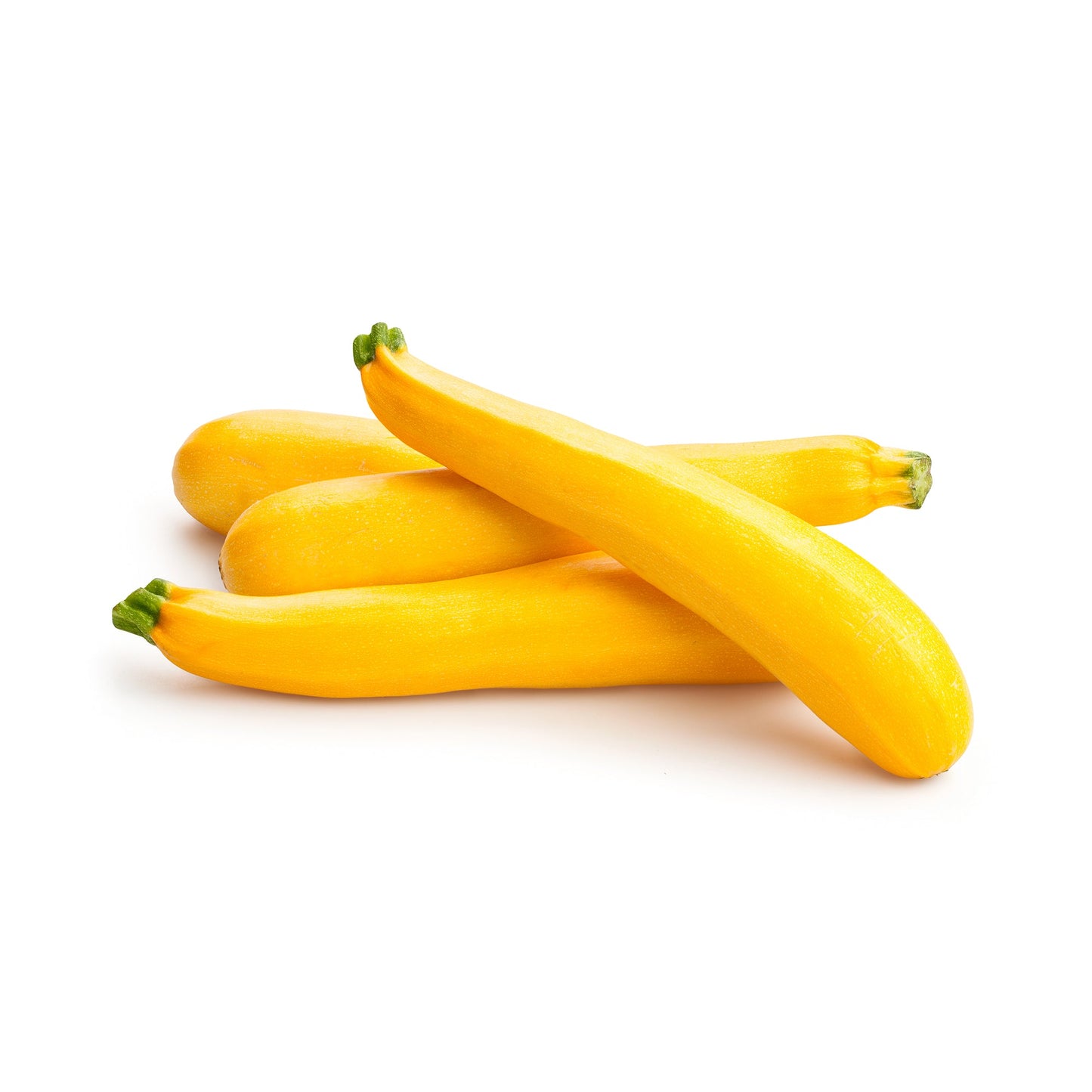 Wholesale Dix Farms Yellow Summer Squash 5lb- Bulk