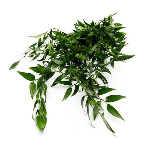 Wholesale Dix Farms Domestic Bunched Ruskus Leaves- Bulk