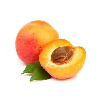 Wholesale Dix Farms Fresh Apricot- Bulk