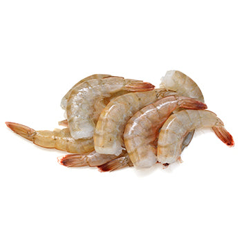 Wholesale Panama Bay Shrimp U/15w 5lb- Bulk