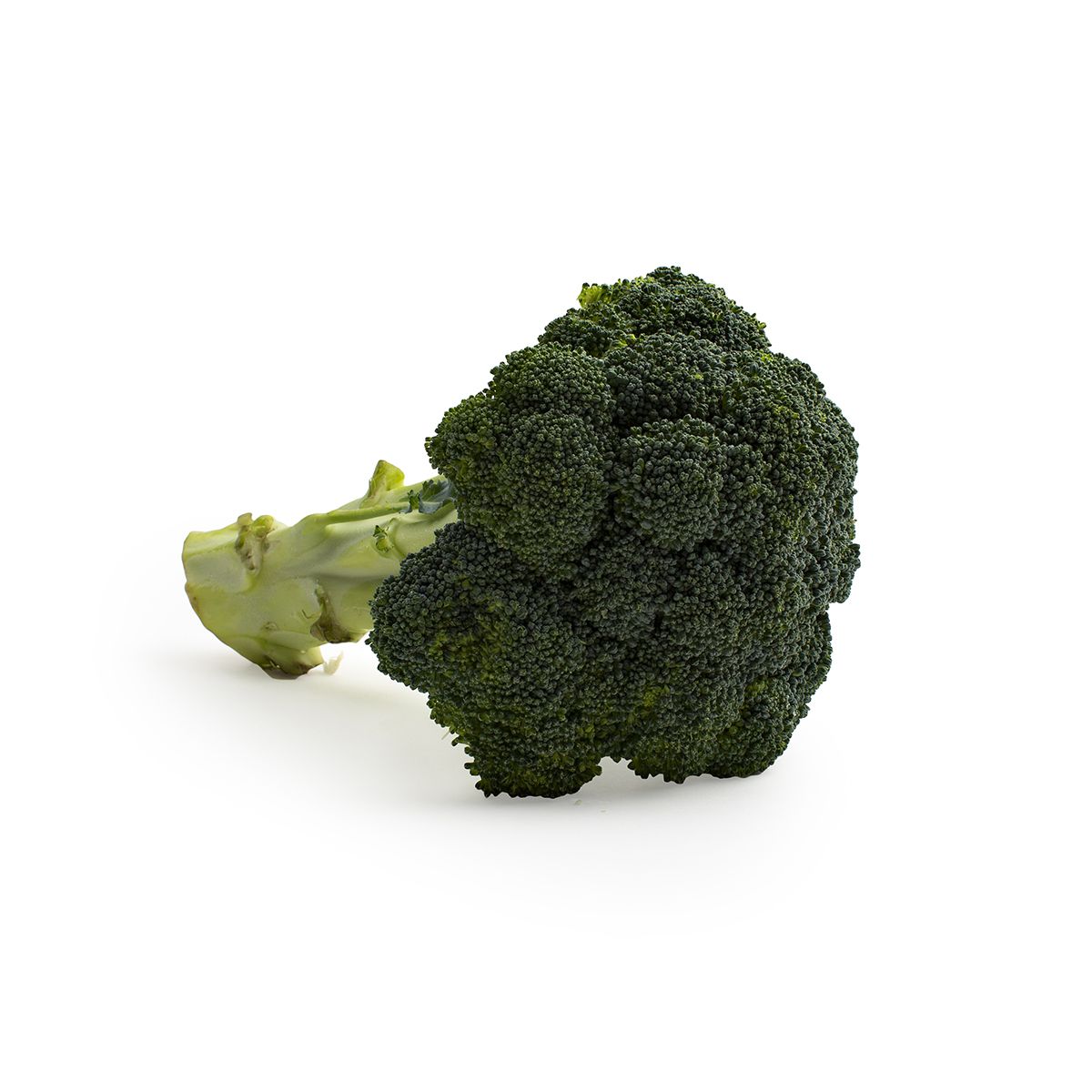 Wholesale BoxNCase Broccoli-14 Ct Case Bulk