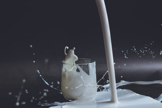 Top 10 Dairy Alternatives You Should Totally Try