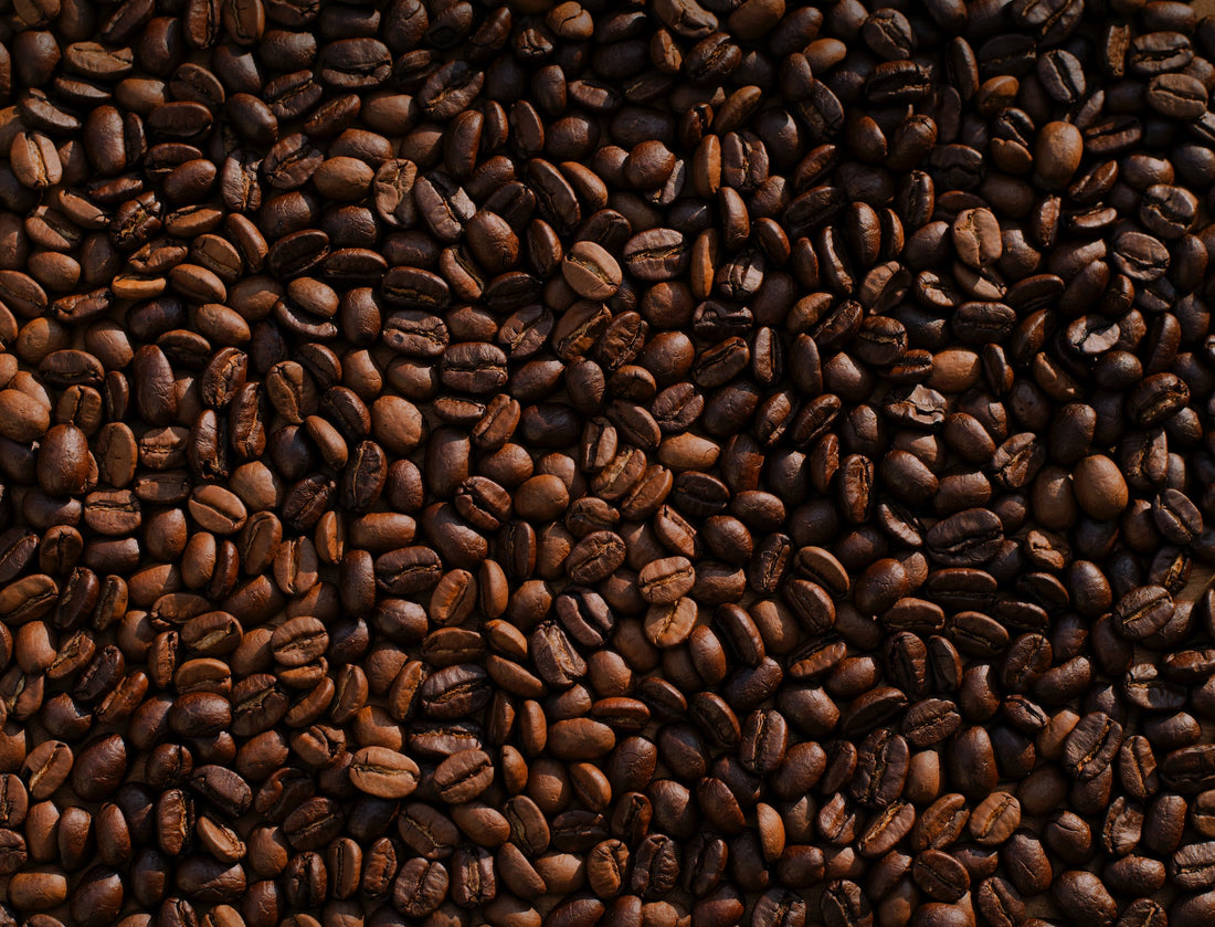 The 10 Best Coffee Brands of 2023 for All Tastes and Budgets