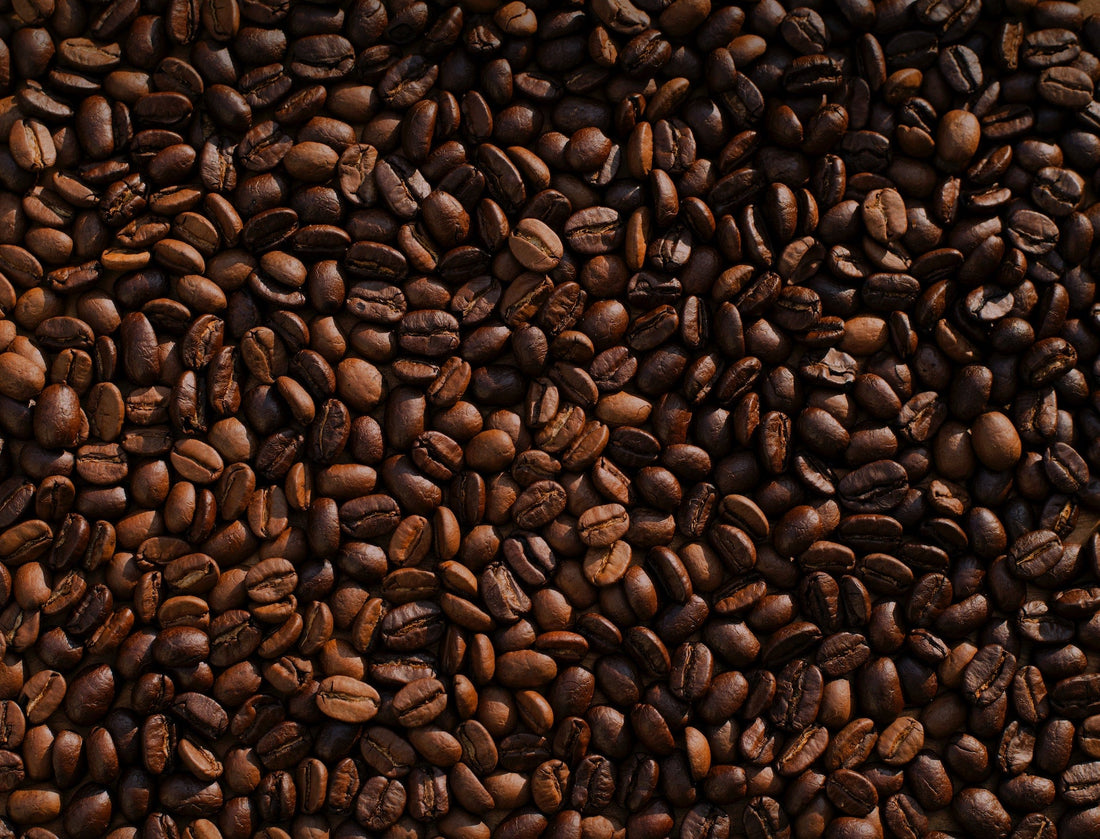 The 10 Best Coffee Brands of 2023 for All Tastes and Budgets