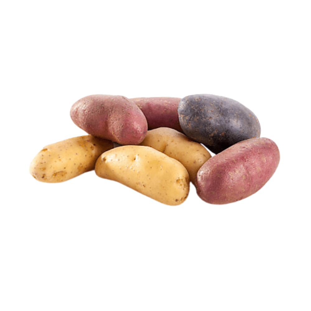 Wholesale Aceendico Case Rainbow Fingerling Potatoes- Bulk