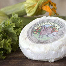 Wholesale Brunet Cheese 11 OZ- Bulk
