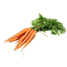 Wholesale Dole Case Bunched Carrots- Bulk