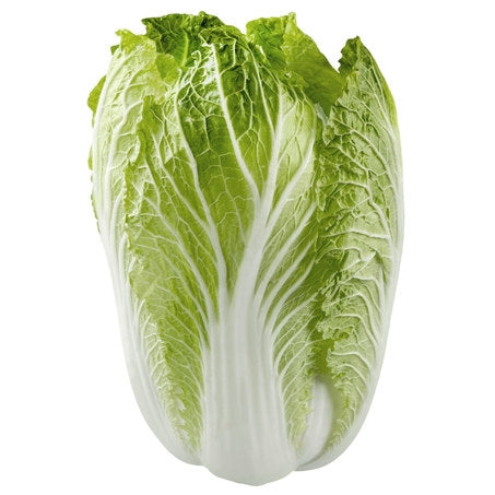 Wholesale BoxNCase Case Napa Cabbage- Bulk