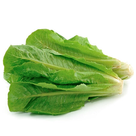 Wholesale Andy Boy Case Romaine Heart Lettuce- Bulk