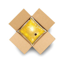 Wholesale Indigo Case Canola/Olive Oil 90/10 Blend Bag-In-Box- Bulk