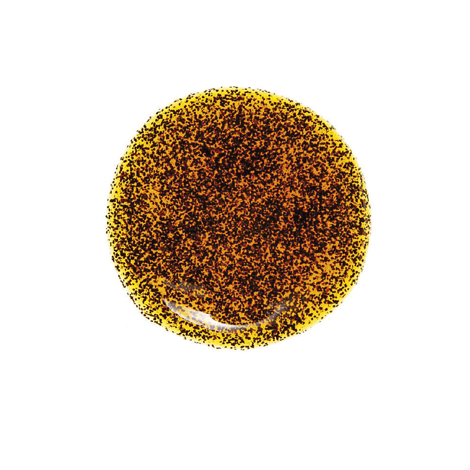 Wholesale Agrimontana Case Bourbon Vanilla Paste- Bulk