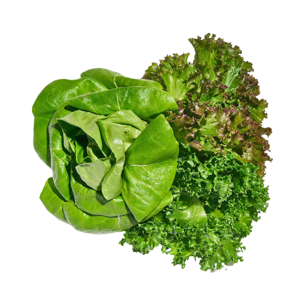 Wholesale Gotham Greens Case Loose Spring Mix- Bulk