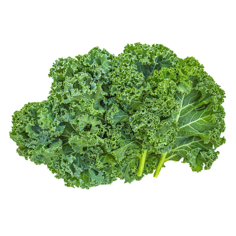 Wholesale Organic Girl Kale | 5 oz- Bulk