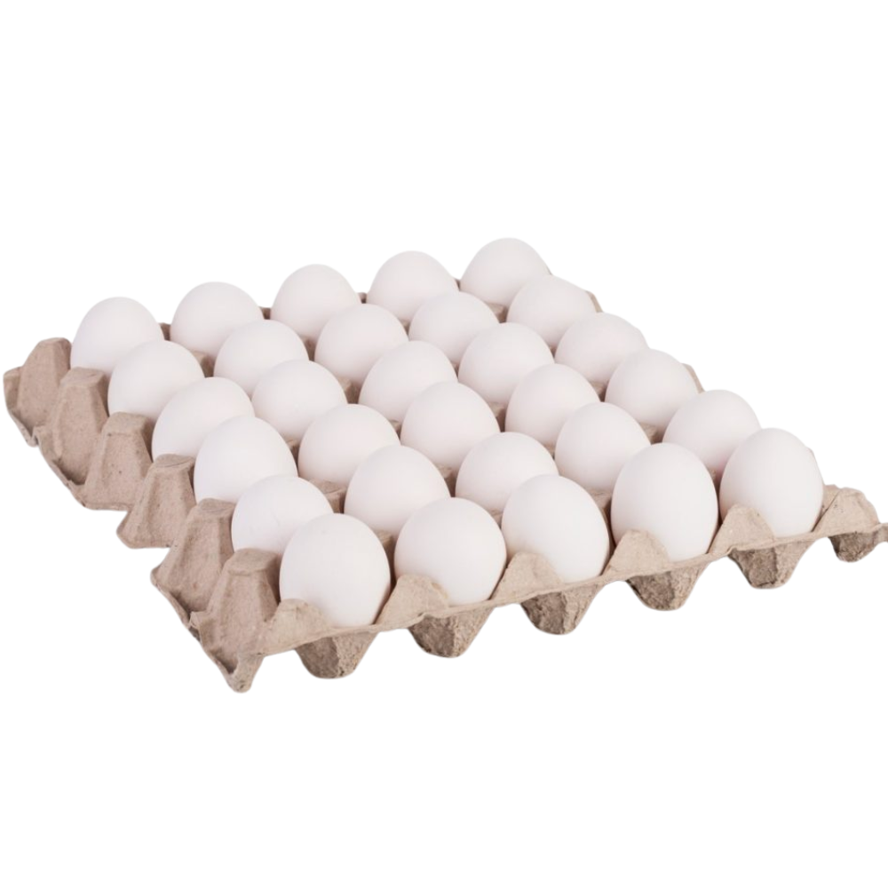 Wholesale BoxNCase Case Whole Frozen Eggs- Bulk